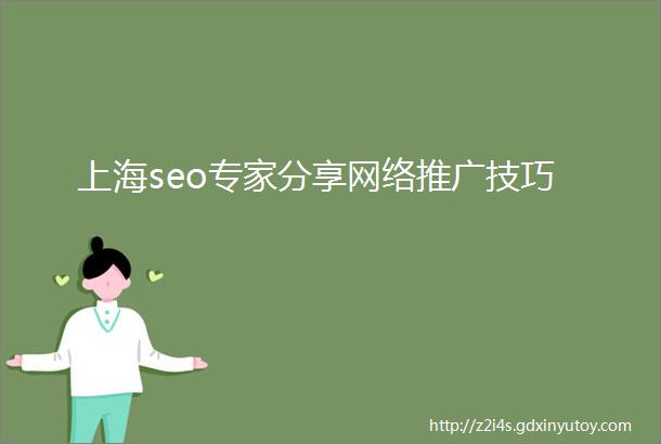上海seo专家分享网络推广技巧